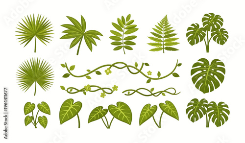 Collection of Variety of green tropical leaves.