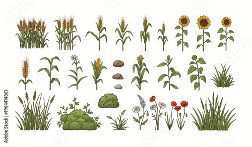 Collection of Various types of green plants and flowers.