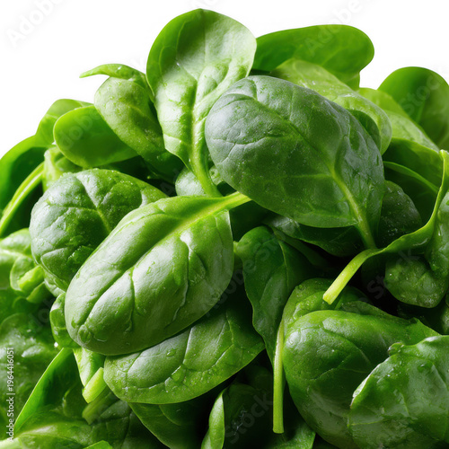 Fresh vibrant green baby spinach leaves clustered together with glistening water droplets on them isolated on transparent background