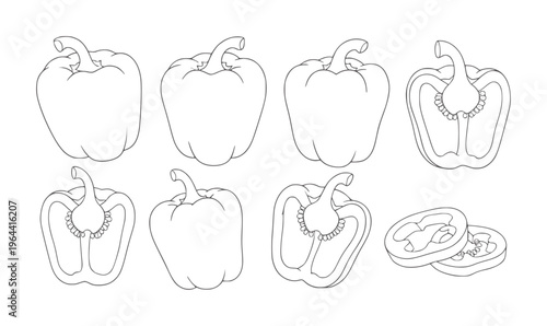 Line collection of bell peppers whole halved and sliced capsicum vegetable food