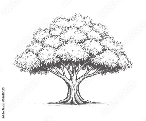 Of a lush deciduous tree with textured leaves and trunk nature foliage
