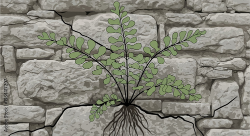 A delicate green plant with visible roots sprouts from a cracked stone wall