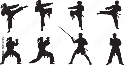Diverse collection of black silhouettes depicting martial arts practitioners engaged in dynamic training, showcasing powerful kicks, punches, and defensive combat stances
