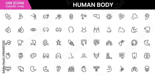 Human body icons depicting anatomy, organs, skeleton, muscles, health, biology, structure, systems, medical, education, science, physiology, and wellness.
