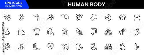 Human body icons depicting anatomy, organs, skeleton, muscles, health, biology, structure, systems, medical, education, science, physiology, and wellness.