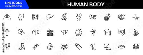 Human body icons depicting anatomy, organs, skeleton, muscles, health, biology, structure, systems, medical, education, science, physiology, and wellness.