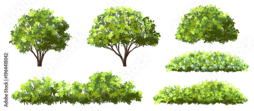  Vector watercolor blooming flower tree or forest side view isolated on white background for landscape and architecture drawing,elements for environment or and garden,green tree for garden section 