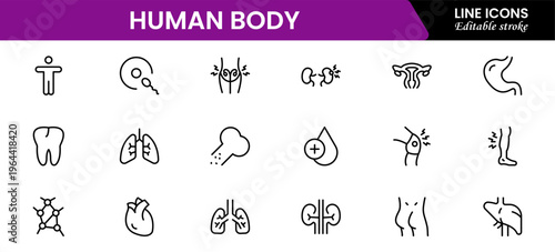 Human body icons depicting anatomy, organs, skeleton, muscles, health, biology, structure, systems, medical, education, science, physiology, and wellness.