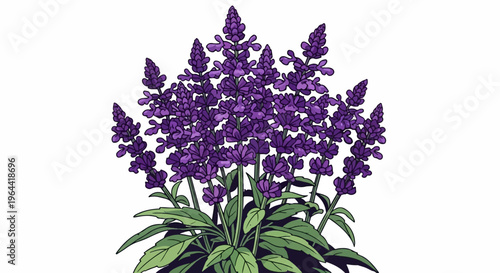 A vibrant bunch of purple flowers with green leaves against a white background