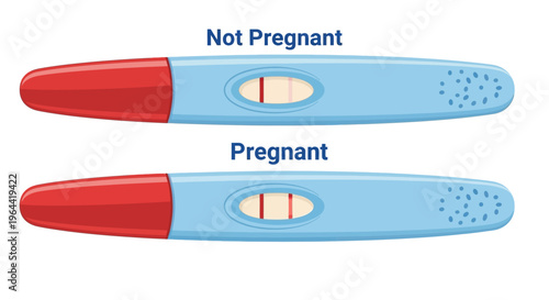 Graphic illustration of two pregnancy test strips on a white background