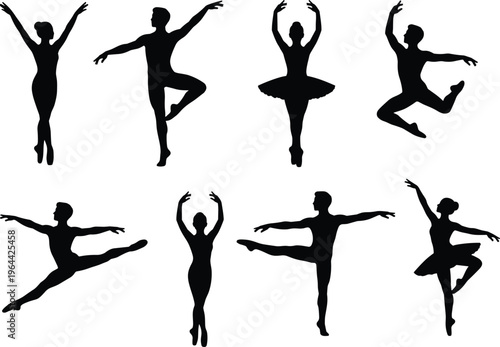 Collection of various high quality vector bird silhouettes featuring poses of standing walking and flying avian species for nature wildlife conservation projects and professional graphic design