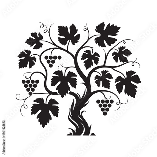 Elegant black and white illustration of a grapevine with leaves and grapes