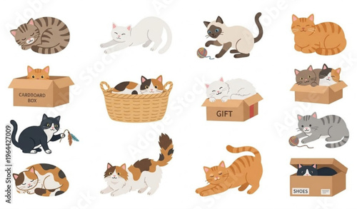 Cute cat activities vector set with sleeping stretching playing kittens and pet animals isolated on white