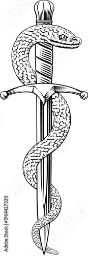 A dagger knife with snake w...