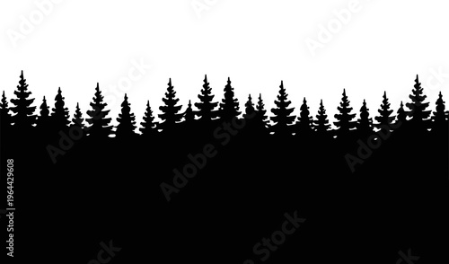 Silhouette of evergreen trees forest