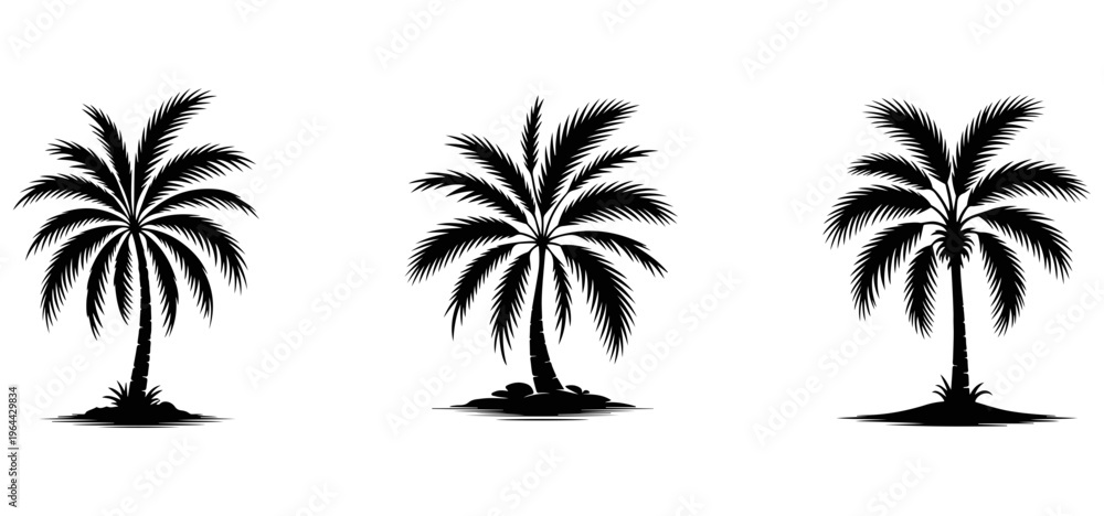 Fototapeta premium Palm tree silhouettes palm trees black 1 white background
