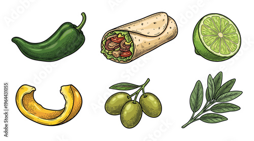 Set of food ingredients and burrito in a vintage color engraving style. Vector illustration for restaurant menu, food packaging, or website design. Includes pepper, lime, and olives.