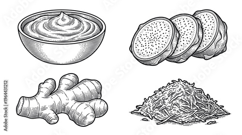 Ginger set: root, grated, sauce, and dragon fruit slices. Vintage vector engraving style illustration for menus, packaging, or recipes. Black and white hand drawn sketch.