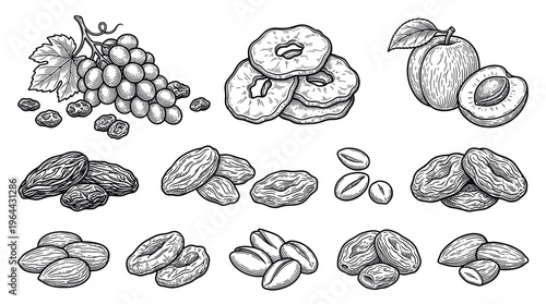 A vintage vector set of hand-drawn dried fruits and nuts. Includes grapes, pineapple, apricot, dates, and almonds in a classic engraved sketch style for food packaging or menus.