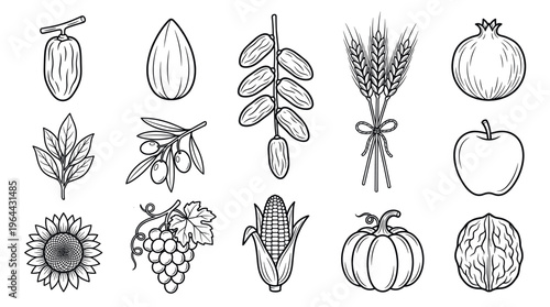 A set of hand drawn harvest icons. Black and white vector illustrations of fruit, vegetables, and grains for organic food branding, menus, or seasonal decor.
