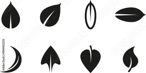 Eight Black Leaf and Seed Shapes on White Background plant nature