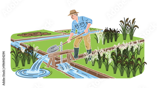 Farmer irrigation in Field: A farmer diligently irrigates his field, expertly controlling the flow of water to nourish his crops, embodying the essence of rural cultivation and agricultural practice.