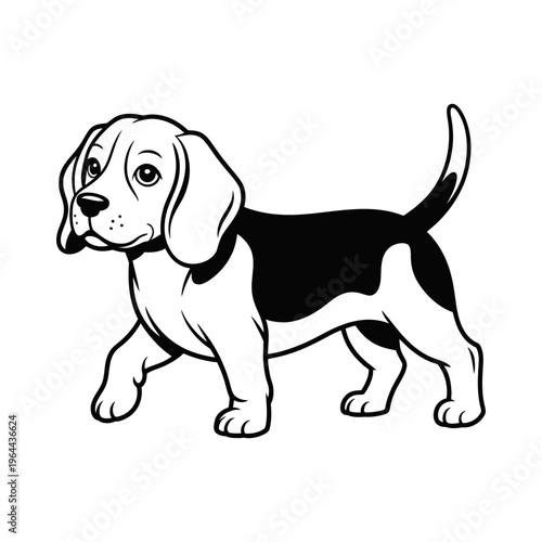 Cute beagle puppy walking, black and white line art illustration