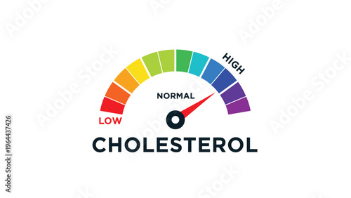 Color coded cholesterol gauge with needle pointing to normal range between low and high levels of personal health.