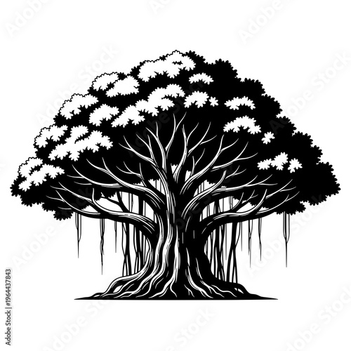Large Banyan Tree with Hanging Roots