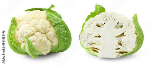 cauliflower isolated on white background. head of cauliflower. clipping path