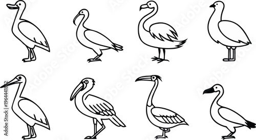A set of vector bird silhouettes featuring a black swan and goose illustration designed as a nature symbol of love on a lake