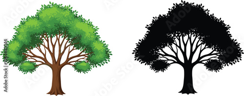 Green leafy deciduous tree illustration and its black silhouette counterpart isolated on white background, perfect for nature landscape design, environmental projects and botanical icons.