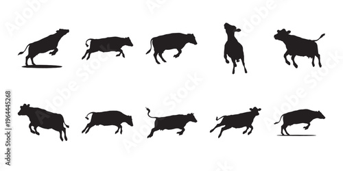 Cow silhouettes running and standing, black animal shapes isolated on white background for rural and livestock themes.