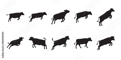 Collection of cow silhouettes in various positions and movements, full body side view isolated on white background. Ideal for agriculture branding and rural illustrations.