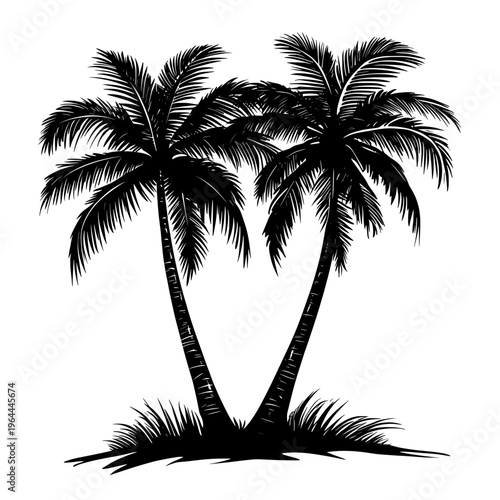 Silhouette Palm Trees Beachside Landscape