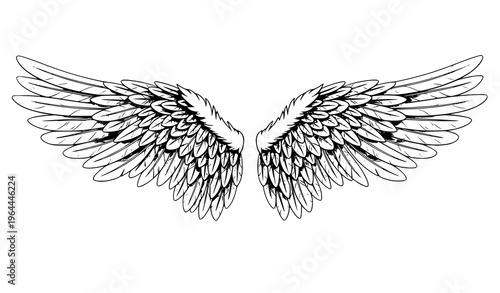 Detailed angel wings vector illustration with realistic feathers and ethereal symmetrical design isolated on white
