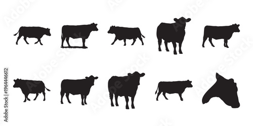 Farm cow silhouettes in various standing and walking poses, clean side view full body isolated on white background. Ideal for agriculture, livestock, and rural themes.