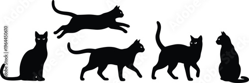 Black Cat Silhouette Vector Set Isolated On White Background Collection Of Domestic Kittens In Different Poses Like Jumping Walking Sitting And Standing For Design