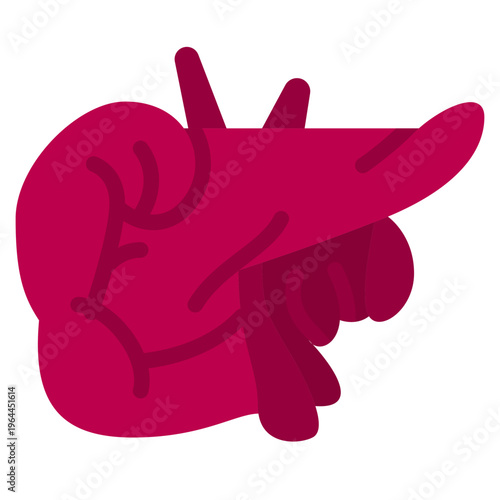 Human pancreas anatomy flat icon, endocrine and digestive system organ illustration for medical and health education