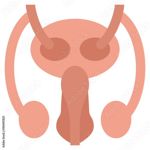 Human male reproductive system flat icon, anatomical penis and testes illustration for medical and health education