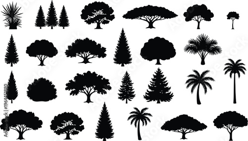 Black Tree Silhouette Vector Set Isolated On White Background Collection Of Pine Palm Oak And Cedar Elements For Landscape Architecture Design Illustration Projects