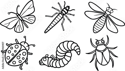 A set of cartoon vector illustrations featuring a dragonfly, butterfly, bee, and other insects in a funny nature design