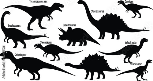 Dinosaur silhouettes collection with labeled prehistoric species vector illustration isolated black shapes educational infographic design for paleontology and history learning resources