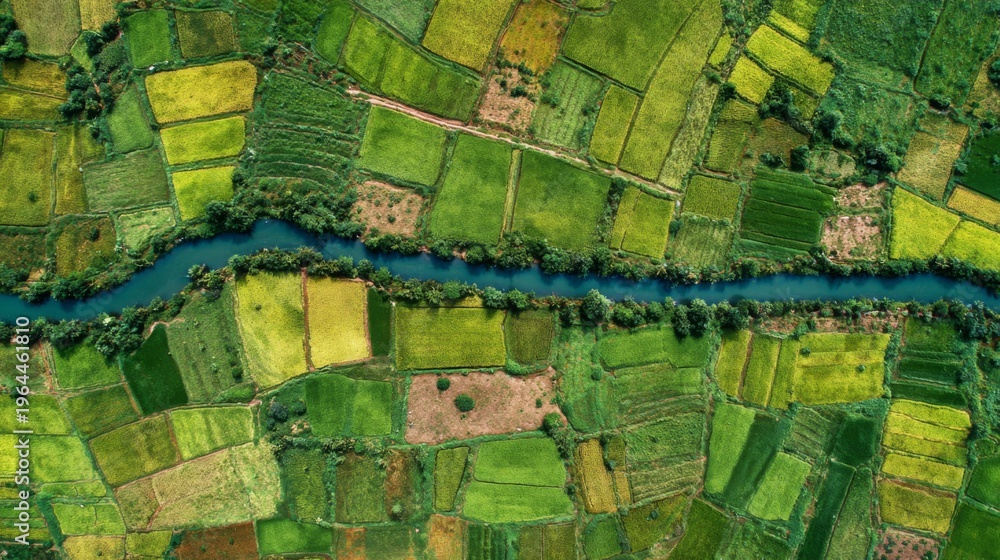 Fototapeta premium Aerial View of Vibrant Agricultural Fields with River Flowing through Lush Green Landscape
