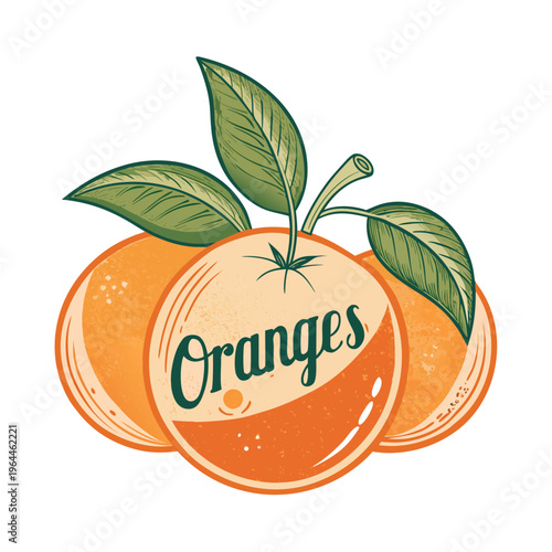 Hand-drawn watercolor illustration of fresh oranges with green leaves on white background for healthy food concept