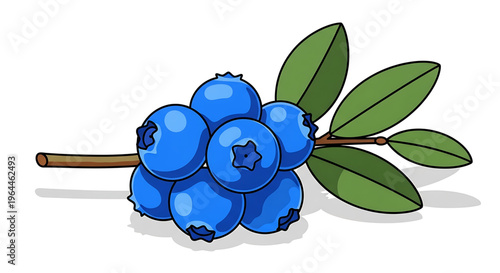 A vibrant illustration of a cluster of blueberries with green leaves on a stem, perfect for food and health-related designs