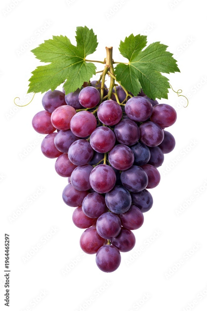 Fototapeta premium Fresh Grapes on Vine with Leaves Isolated on White