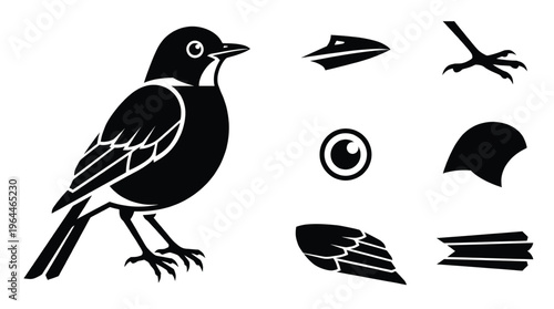 Black and white robin bird vector set containing robin body profile wing beak eye head tail and bird claw icons