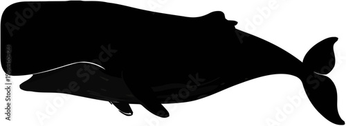 Sperm Whale Silhouette – Flat Vector Plotter Cut File