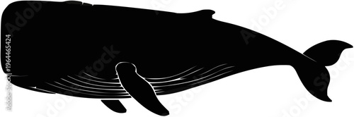 Sperm Whale Silhouette – Flat Vector Plotter Cut File